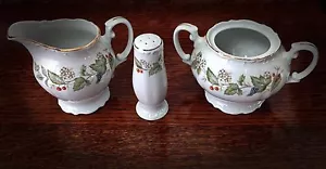 Bristol Fine China Spring Blossom Creamer, Sugar Bowl, Salt or Pepper Shaker - Picture 1 of 5