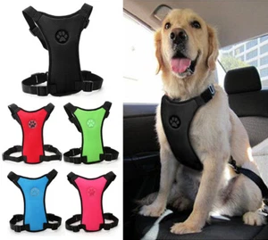 CINTURÓN DE SEGURIDAD COCHE coche arnés de seguridad arnés para perros cinturón de seguridad - Imagen 1 de 15