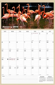 2026 Wall Calendar Spiral-bound Twin - 12 Months Planner 8.5" x 11" (Birds) - Picture 1 of 6