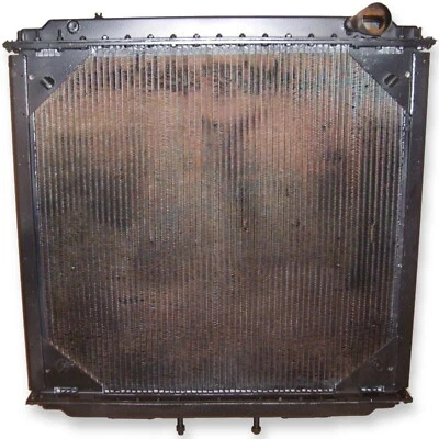 Truck Radiator Fits Western Star 1995-2002 4900 1995-2001 5900 6900 Series  Foto 1 de 2