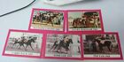 HORSE STAR CARDS 5 DIF W/ PLEASANT COLONY TOMMY LEE TIM TAM LUCKY DEBONAIR  CARR