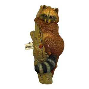 Vintage Bosson's Chalkware Raccoon Wall Ornament Hand Painted 12-1/2" x 5" - Picture 1 of 6