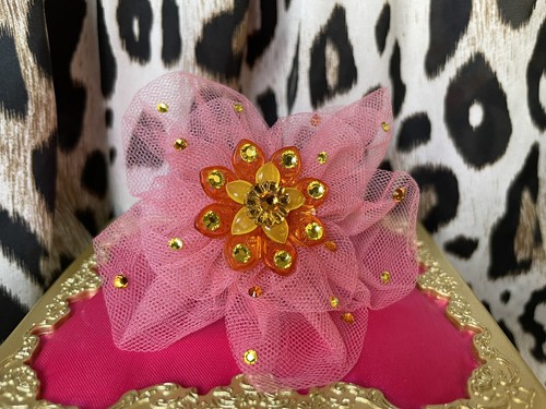 Bild 1 von 5
