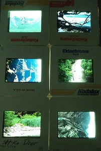 6 Original Vintage 35mm Kodak Photo Color Slide Nature Kodachrome Transparency - Picture 1 of 10