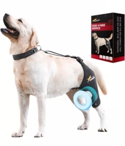Dog Knee Brace for Torn ACHindeg, Support for Patella Dislocation or Left Leg XL - Picture 1 of 7