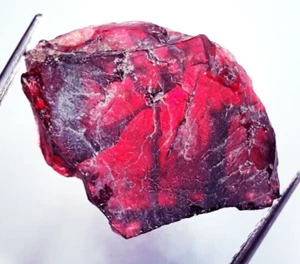 20.50 Ct Loose Gemstone Natural Red Garnet Rough With Free Gift - Picture 1 of 7