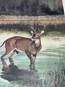 The American Whitetail Deer Ralph J McDonald 'Numbered Signed Print 21.5” x 26. - Picture 1 of 6