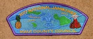Maui County Council 2017 JSP - Purple Bdr - Picture 1 of 1