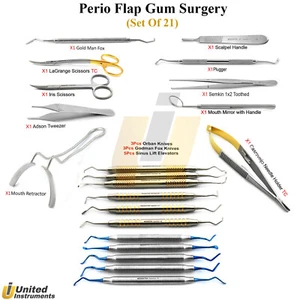21 Pcs Periodontal Oral Surgery Kit Gingival Gum Lifting Dental Elevators Knives - Picture 1 of 22