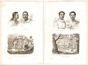Grabados d'Urville 1834 (2 dif) ~ Otouri POMARE Teremoemoe ~ TAHITI Polinesia - Imagen 1 de 7
