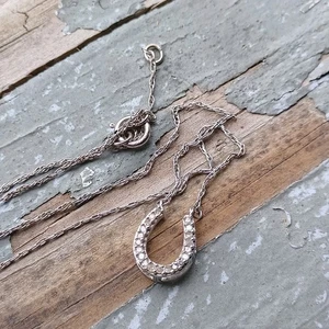 Vtg Danity Southern Belle 10k White Gold Horse Shoe Charm On Gf Necklace Chain - Picture 1 of 14