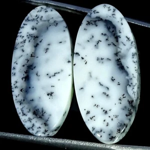 21.70 Cts Natural Oval Dendrite Opal Cabochon Pair Jewelry Making 12X25X5MM - Picture 1 of 6