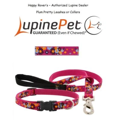 LUPINE GUARANTEED FOR LIFE Lupine Lifetime Dog Collar or Leash - 3/4"-LIMITED EDITION FLOWERS- PLUM PRETTY
