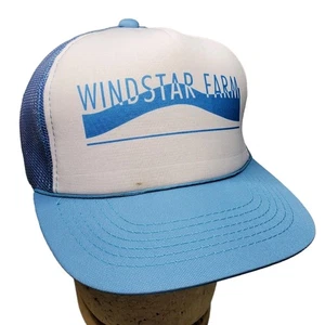 Vintage Blue Mesh Foam Farm Hat Cap Adjustable Baseball Windstar  - Picture 1 of 15