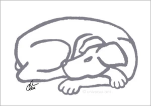 JACQUELINE DITT - Dog - Grey A2 handsigniert limit.Original Druck Grafik Hund - Imagen 1 de 2