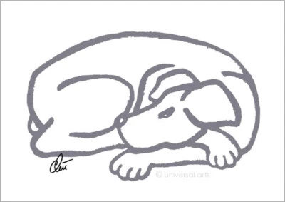 JACQUELINE DITT - Dog - Grey A2 handsigniert limit.Original Druck Grafik Hund - Bild 1 von 2
