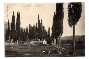 DB Postkarte, L'Ombla, Ombla, Kroatien, Zypresse - Bild 1 von 2