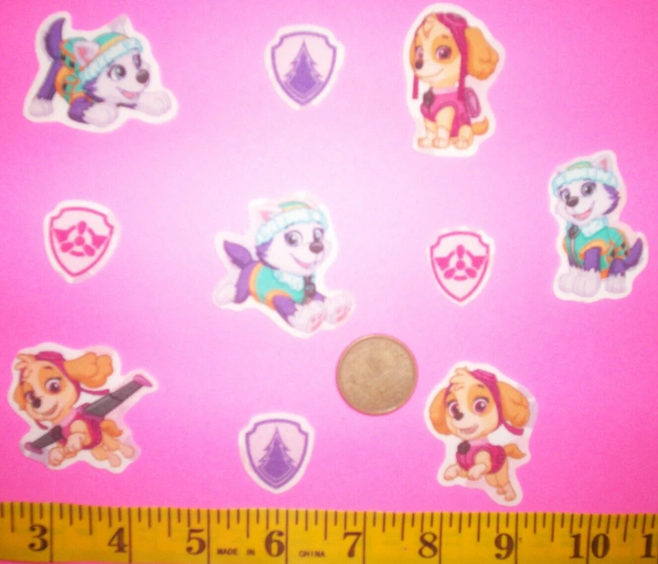 New Paw Patrol Skye & Everest Iron-ons Fabric Appliques Iron-ons - Image 1 of 1