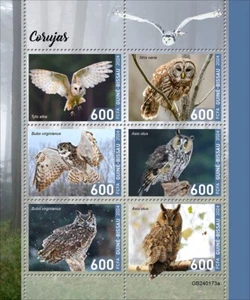 Owls MNH Stamps 2024 Guinea-Bissau M/S - Picture 1 of 1