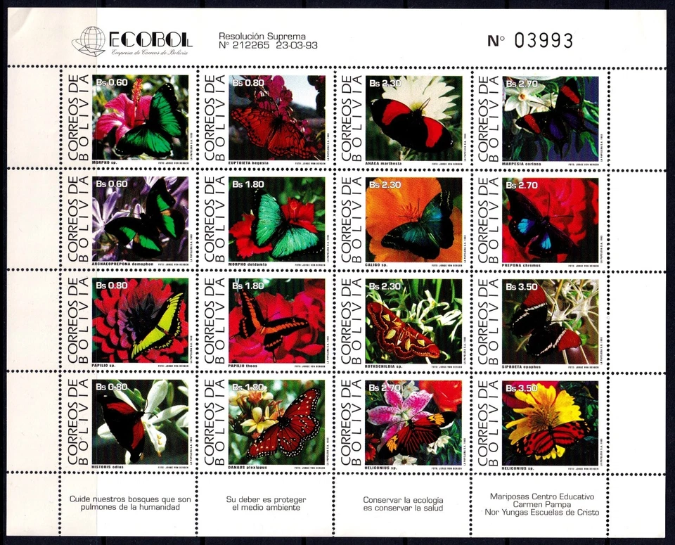 Bolivia 1993 Mariposas Como Nuevas MNH Hoja Miniatura SC 889a CV $85 Foto 1 de 1