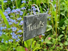 20 Natural Slate Hanging Garden Plant Markers Label Tags Vegetables 10cm x 6cm