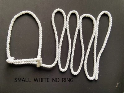 COBS & COLOUREDS LTD MINI PONY FOAL SHETLAND HALTER 8 PIES DE LARGO BLANCO CREMA ALGODÓN PURO *ENVÍO GRATUITO*