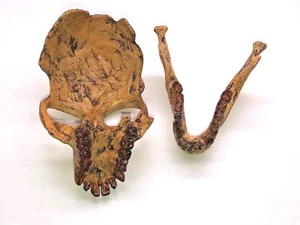 PRO-CONSUL SKULL REPLICA - Picture 1 of 3