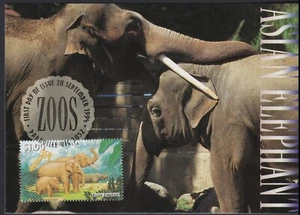 Postal Animal Elefante Asiático/Asiático/MaxiCard Como Nueva - Imagen 1 de 1