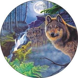 Wolf Mystical Moonlight Spare Tire Cover -Add tire size in NOTES during checkout - Picture 1 of 5