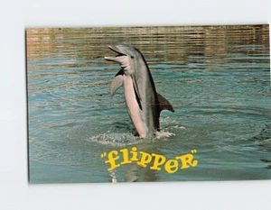 Postkarte Flipper - Bild 1 von 2