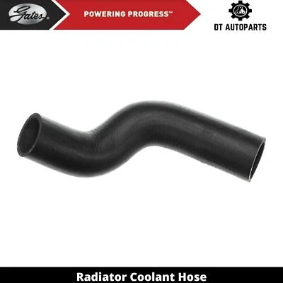 Manguera de refrigerante de radiador de gas V6 3,7 L para Jeep Liberty 2008-2012 puertas inferiores 2009 Foto 1 de 4