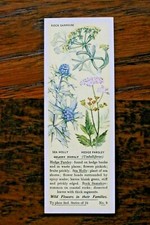 WILD FLOWERS IN THEIR FAMILIES,2nd SERIES,1937,TYPHOO TEA CARDS ,PICK YOUR CARDS
