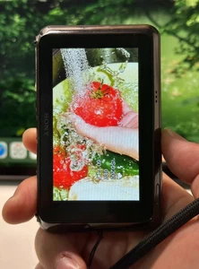 Sony Cybershot Digital Camera DSC-T99 Silver 14.1MP W/ Charger, Battery & Memory - Picture 1 of 4