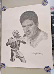 Rari delfini litografia Alan Luiz 1997 firmati DAN MARINO 20x24 pollici - Foto 1 di 17