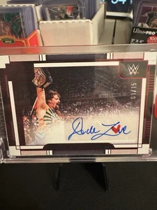 2024 PANINI WWE THREE COUNT DUDE LOVE TIMELESS MOMENTS AUTO SP 1/15 MICK FOLEY - Picture 1 of 3