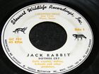 1962 7 inch 45 RPM ODDBALL JACK RABBIT DISTRESS CRY Stewart Wildlife WACO Texas 