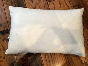Comfy Down Throw Pillow Insert, 14" x 22", Duck Feather / Down - Picture 1 of 5