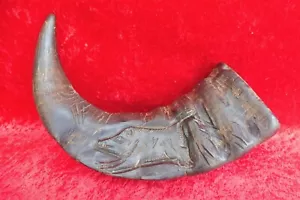 Bue - Corno, Protetto Con Cinghiale, Massiccio, Vecchio Corno D'Ecchio - Foto 1 di 6