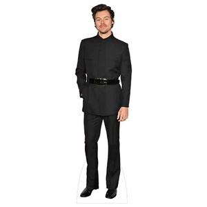 Harry Styles Lifesize Cardboard Cutout - Celebrity Cutouts & One Direction Merch - Picture 1 of 6