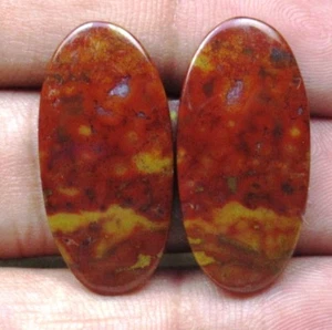 NATURAL BLOOD STONE CABOCHON OVAL SHAPE PAIR 27.75 CTS LOOSE GEMSTONE D 5797 - Picture 1 of 2