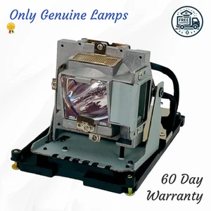 Genuine OEM Vivitek 5811116517-S Projector Lamp Bulb 5811116617-S w/Housing - Picture 1 of 8