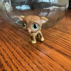 LPS #507 LITTLEST PETSHOP ORIGINAL AUTHENTISCHER CHIEN HUND LEVRIER WINDHUND HASBRO - Bild 1 von 6