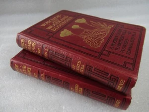 1905 Wayside and Woodland Blossoms 1st "New Series" Edward Step HB - Imagen 1 de 16