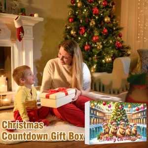 Xmas Tree Ornament 24 Days Calendar Acrylic Countdown Calendar Christmas - Picture 1 of 13