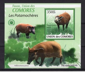COMORO ISLANDS -  2009 RED RIVER HOG   M2058 - Picture 1 of 1