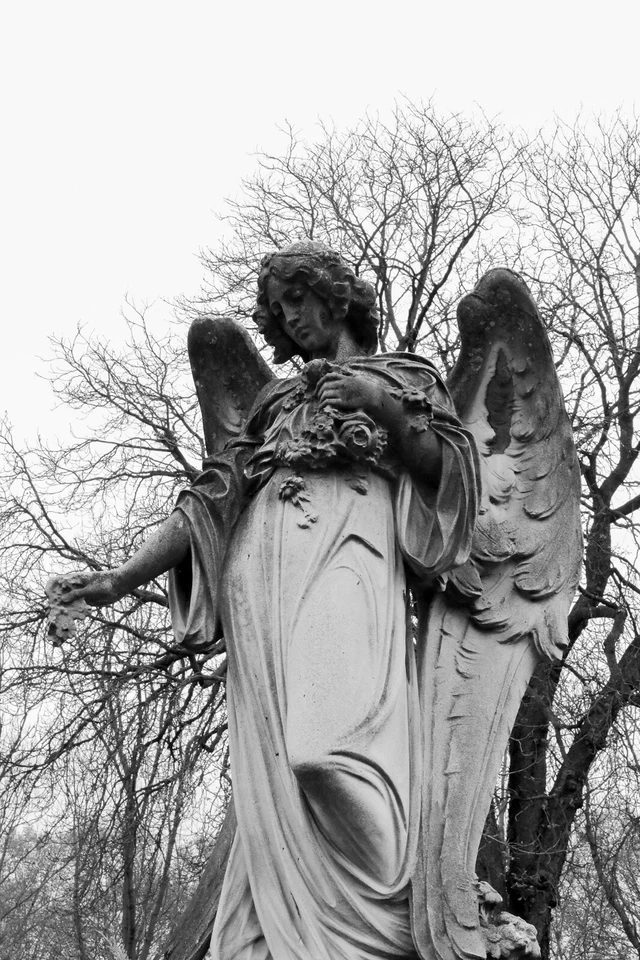 Estatua de ángel, cementerio de París Foto 1 de 1