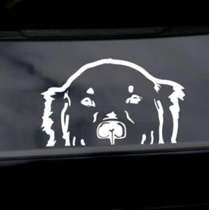 Labrador Dog Peekaboo Car Decal Vinyl Sticker Fun Lab Peek Gift Window - Picture 1 of 4