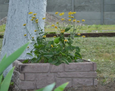 Moldes de hormigón decoración flores jardín protección macizos de flores vendido 1 pieza F07 Foto 1 de 4