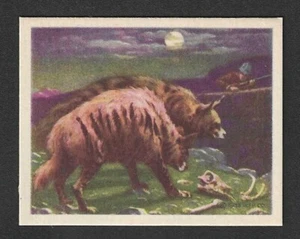 1933 R71 Planters Nut Card - Big Game Hunted Animals Series - #12 Hyaena - Picture 1 of 2