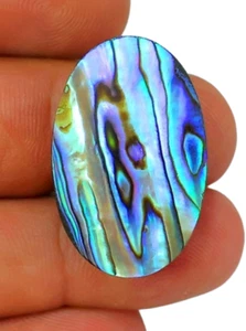 33 CT 100% NATURAL AMMOLITE FIRE ABALONE SHELL OVAL CABOCHON GEMSTONE BL-261 - Picture 1 of 5